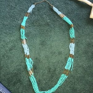 Long Accessory Necklace